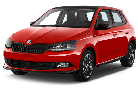 Tavite portbagaj Skoda Fabia
