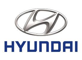 Protectie Suport Repaus Picior Inox Hyundai