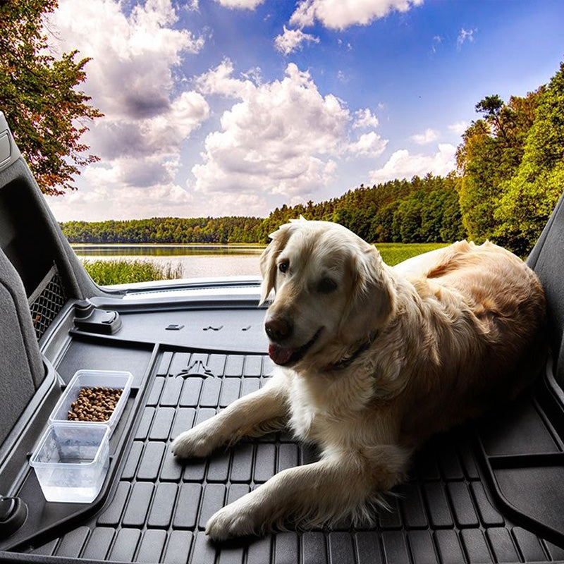 Suprafata antiderapanta